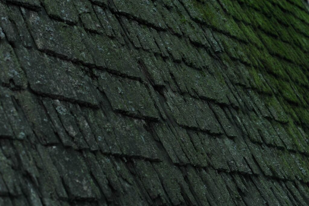 Dark roof streaks and moss appear on shingles beside a gutter filled with leaves.