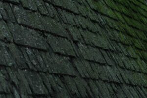 Dark roof streaks and moss appear on shingles beside a gutter filled with leaves.